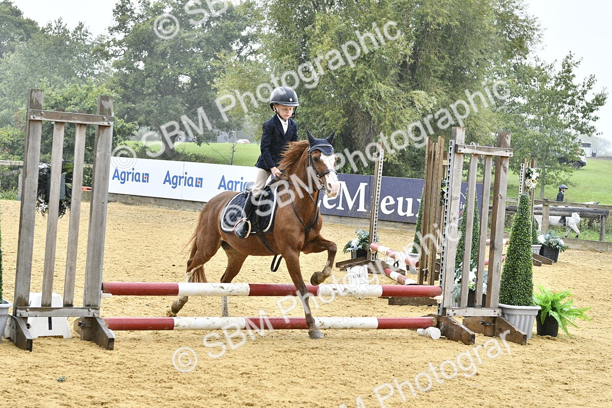 SBM_70961 - J3 - Mini Tour Junior Pony 40cm championship
