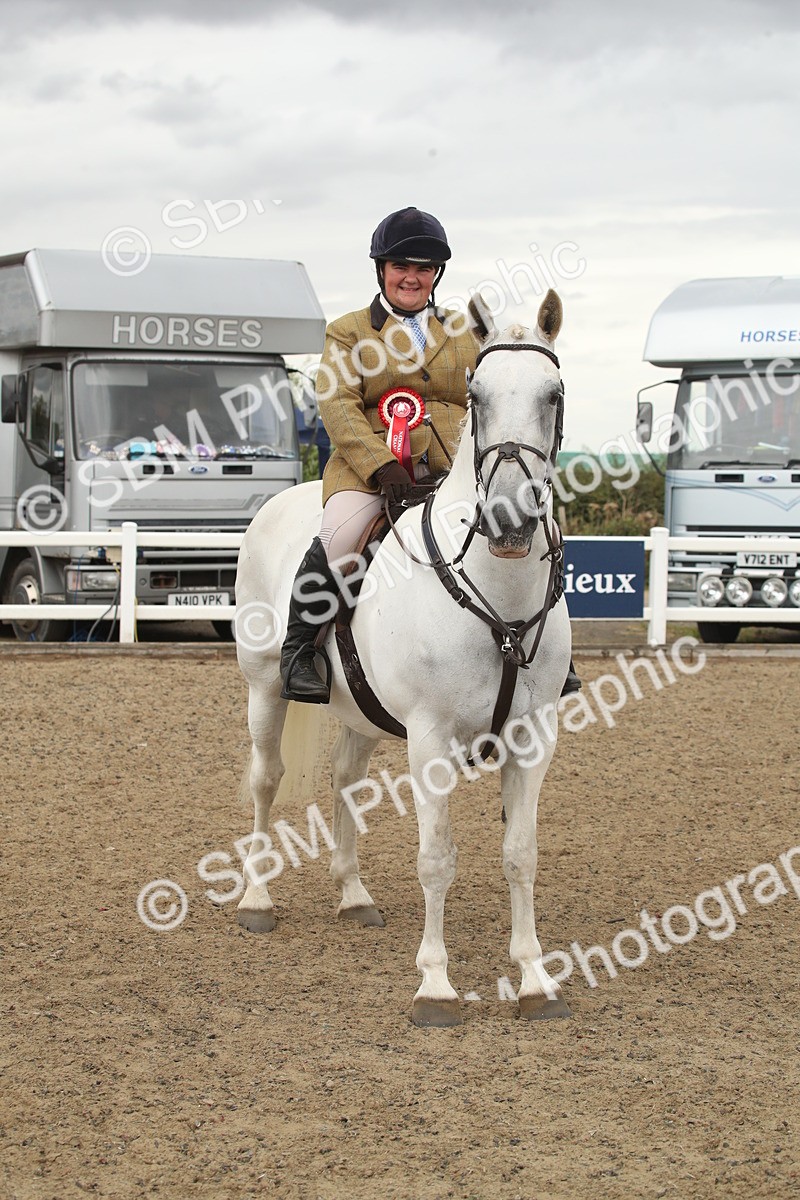 SBM_18469 - Class 510a - Working Veteran 90cm (15-19)