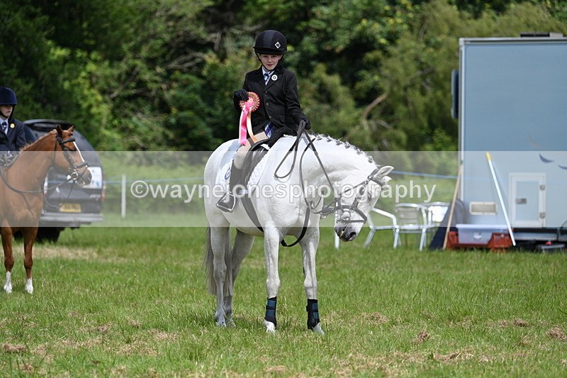 WJ7_1845 - Class 9 Pony Club Pony