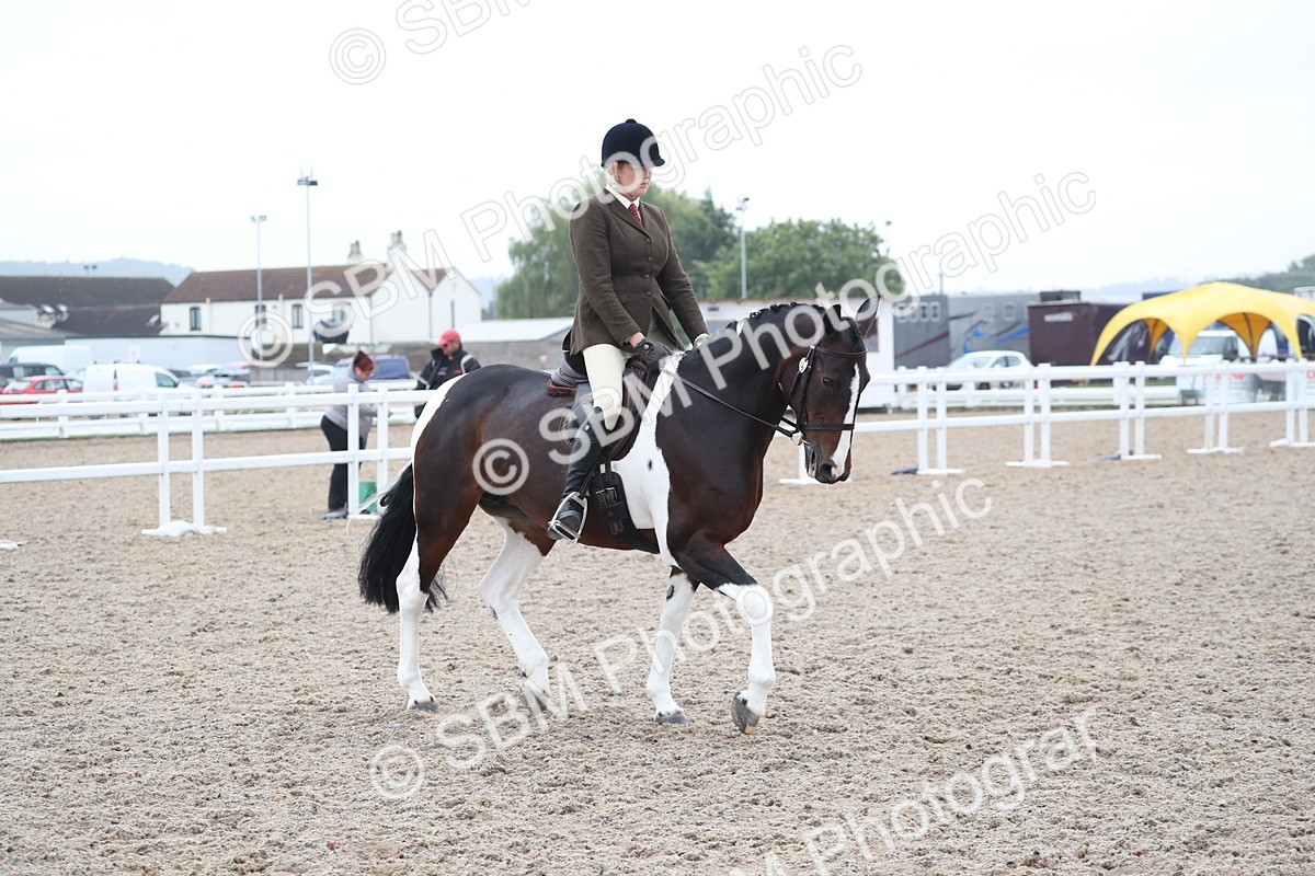 SBM_22037 - Class 603 - 2025 Area Ridden Pre Vet