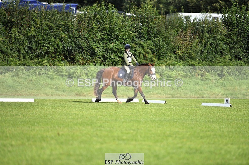 230826-090237-15007 - Sections C & D 9 to 10am