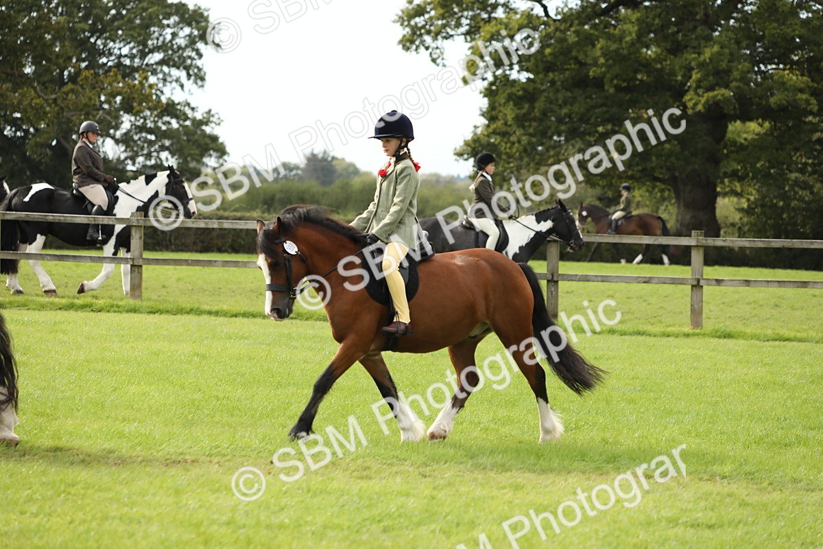 SBM_71492 - S41 - Ridden Equitation (Best Rider)
