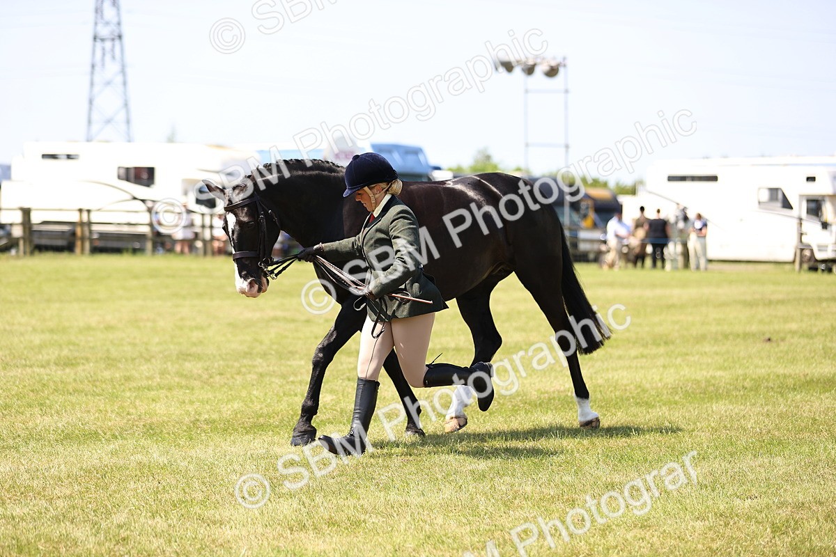 SBM_15231 - Class 79-80 - LIHS BSHA Rising Star Ridden Hunter