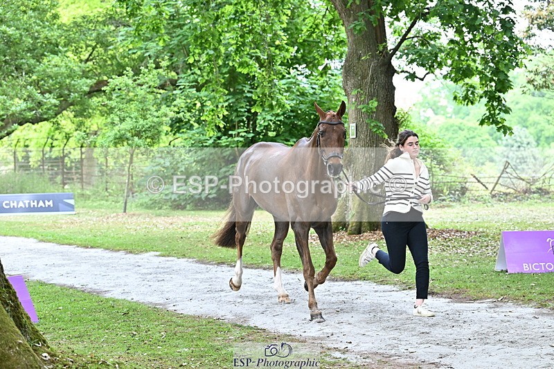 250521A-144306-00188 - A-055-Annabel.Finston-BRAVEHEART.B