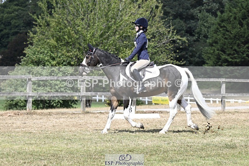 250822A-121936-22700 - DR 11.00 to 12.00