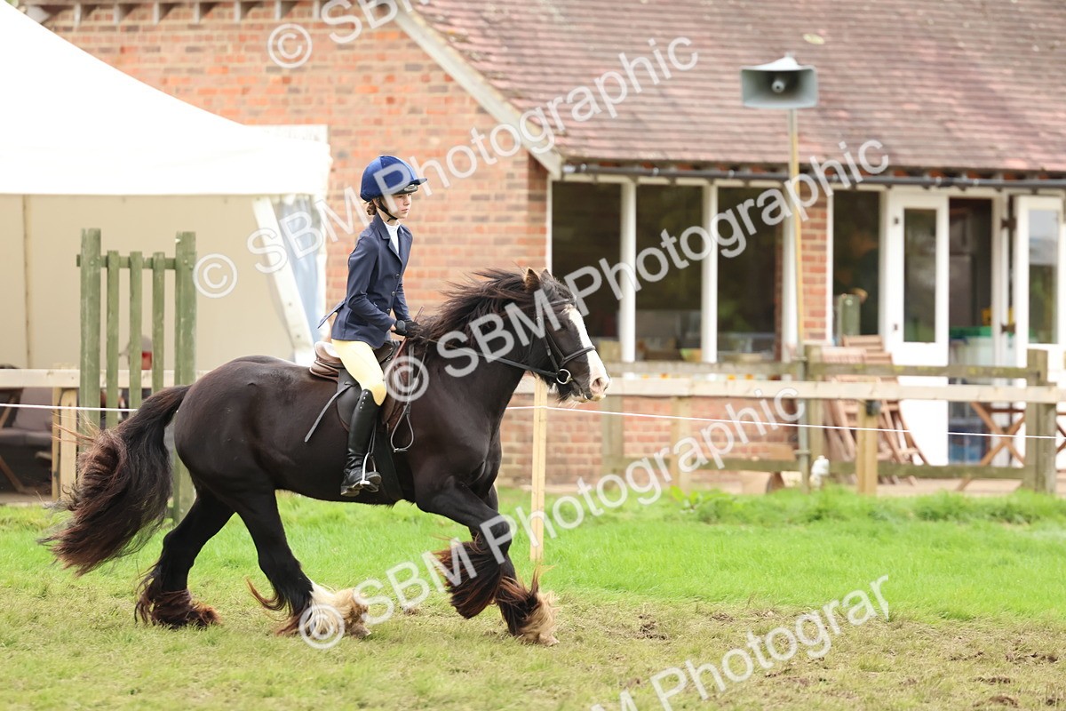 SBM_67547 - S60 - Mini Show Cob Ridden