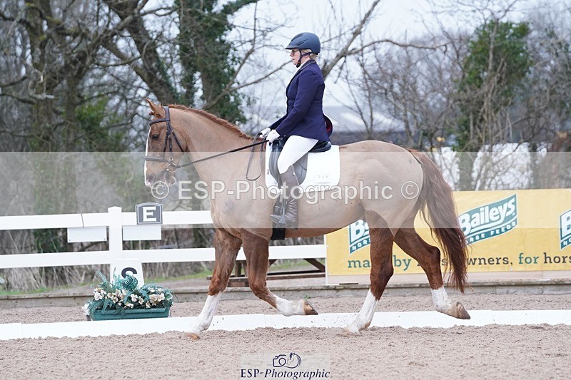 250214-102144-00117 - 224-Jill.McFarland-Adoon.Punchbowl