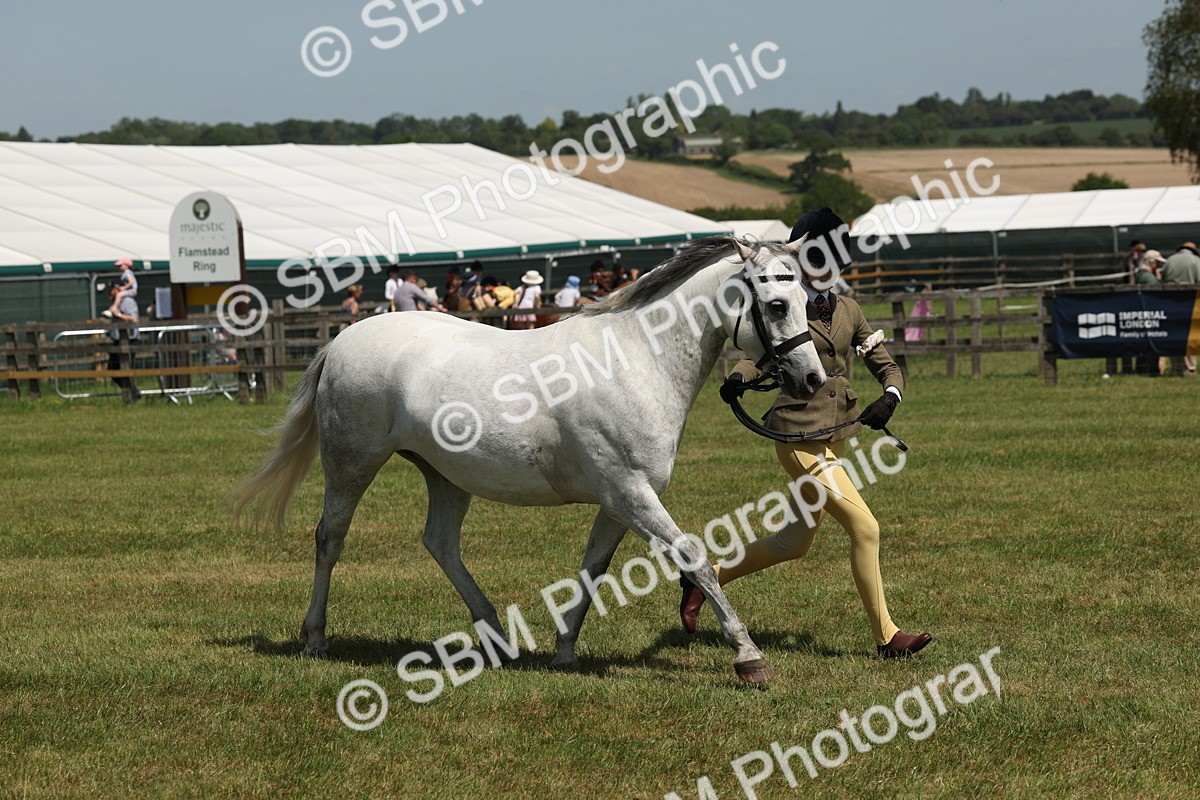 SBM_06771 - Class 26-30 - Mountain and Moorland Ridden