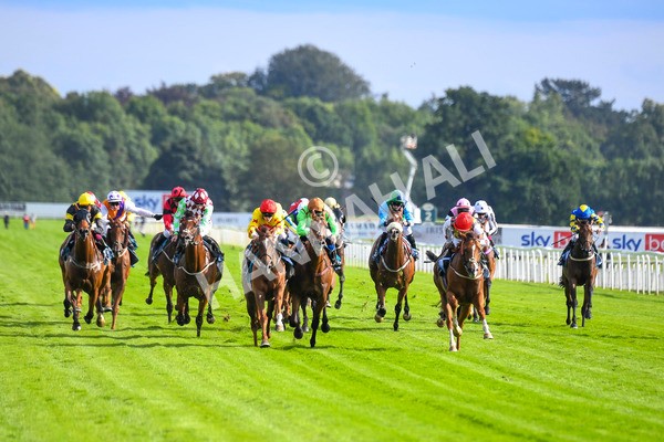 280723-Race 2-Quest For Fun-0185 - Race 2 5.30pm eventmasters.co.uk Handicap