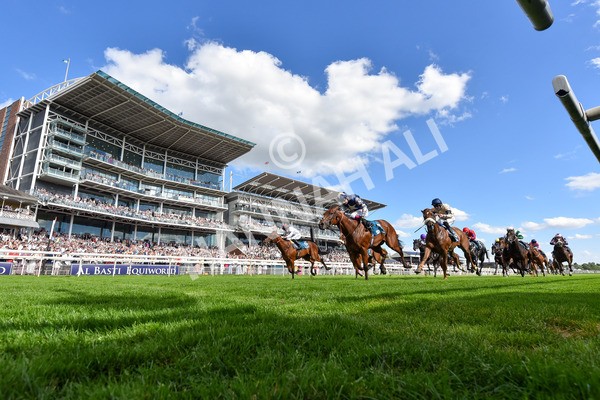 280625-Race 6-Dream Out Loud-5472 - Race 6 4.50pm Al Basti Equiworld Dubai Sprint Handicap