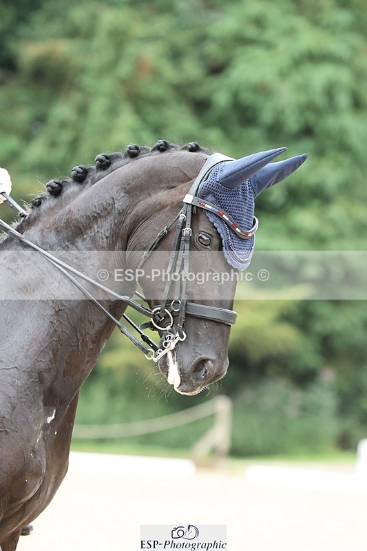 240810-152122-03976 - 306-Emily.Coller-Flabbergasted