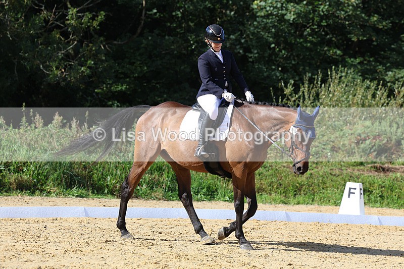 3E7A2565 - Class 1: Intro 4 2024 section A