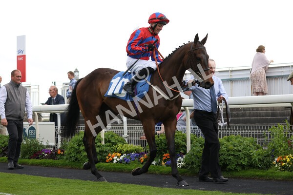 yr10062022r7-1 - Race 7 5.10pm Andy Thornton Hospitality Furniture Stakes