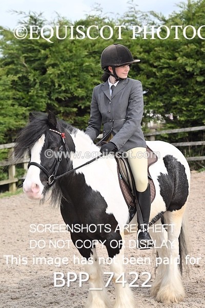 BPP_7422 - RING 1  (RIDDEN HORSES / IN HAND / VETERAN ETC)