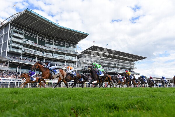 yr11062022r5-36 - Race 5 3.40pm The Pavers Foundation Catherine Memorial Sprint Stakes