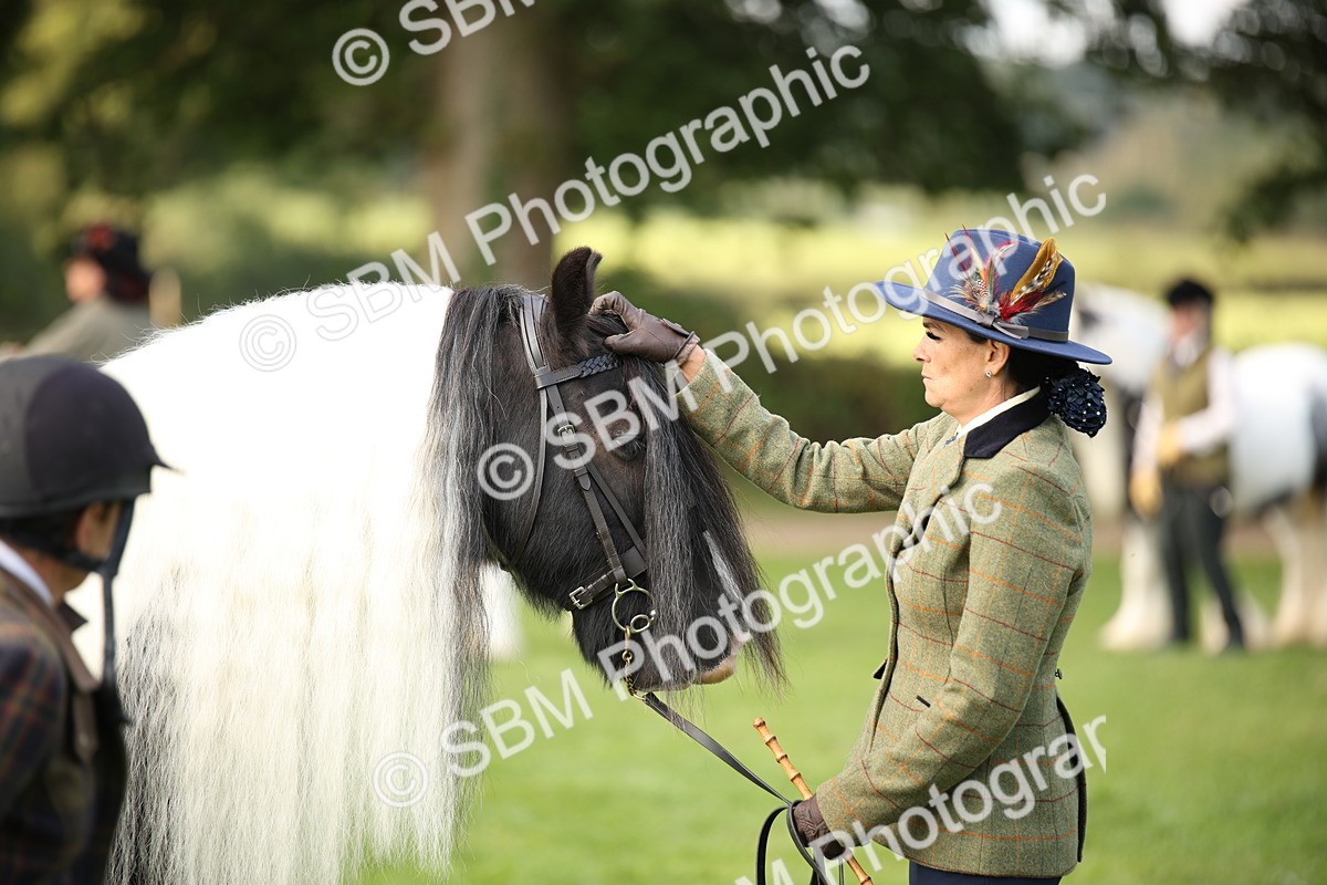 SBM_62286 - S55 - Traditional Cob In Hand