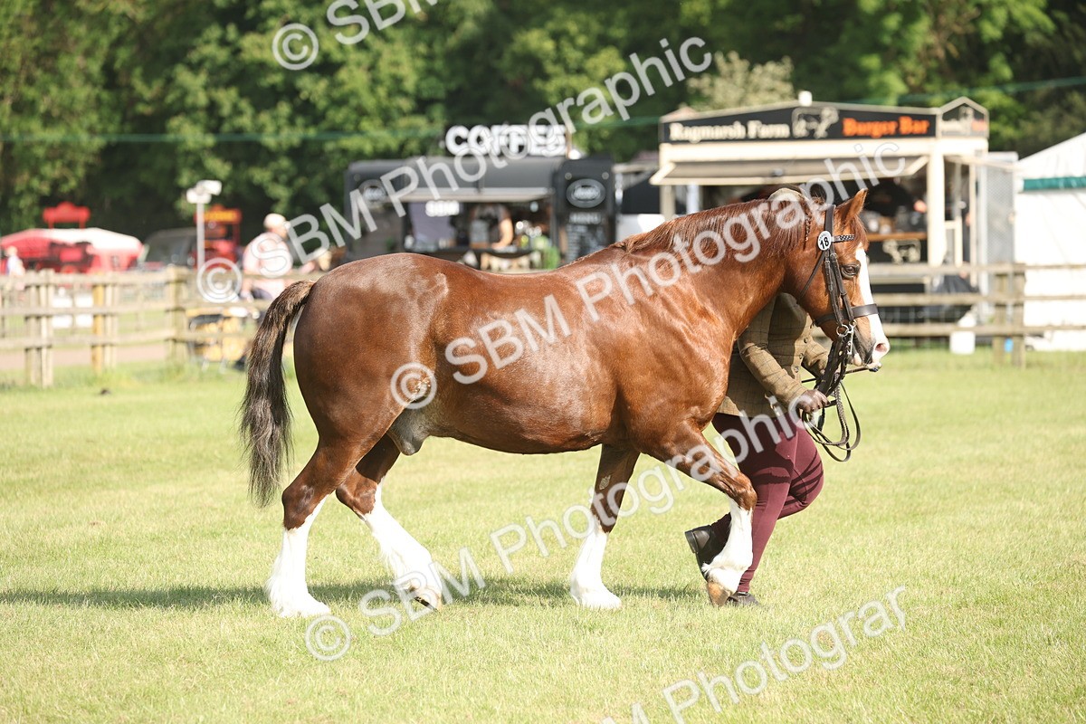 SBM_10302 - Class 33-38 - SSADL RIHS Qualifiers