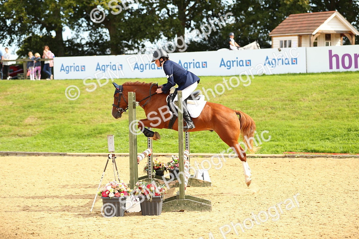 SBM_66143 - J17 - Junior Pony 80cm Championship