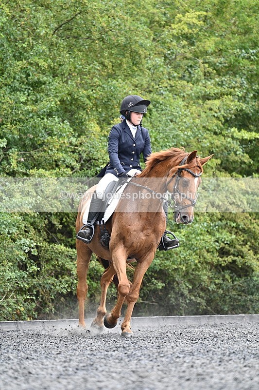 WJ7_7084 - Time 12:53 to 13:18