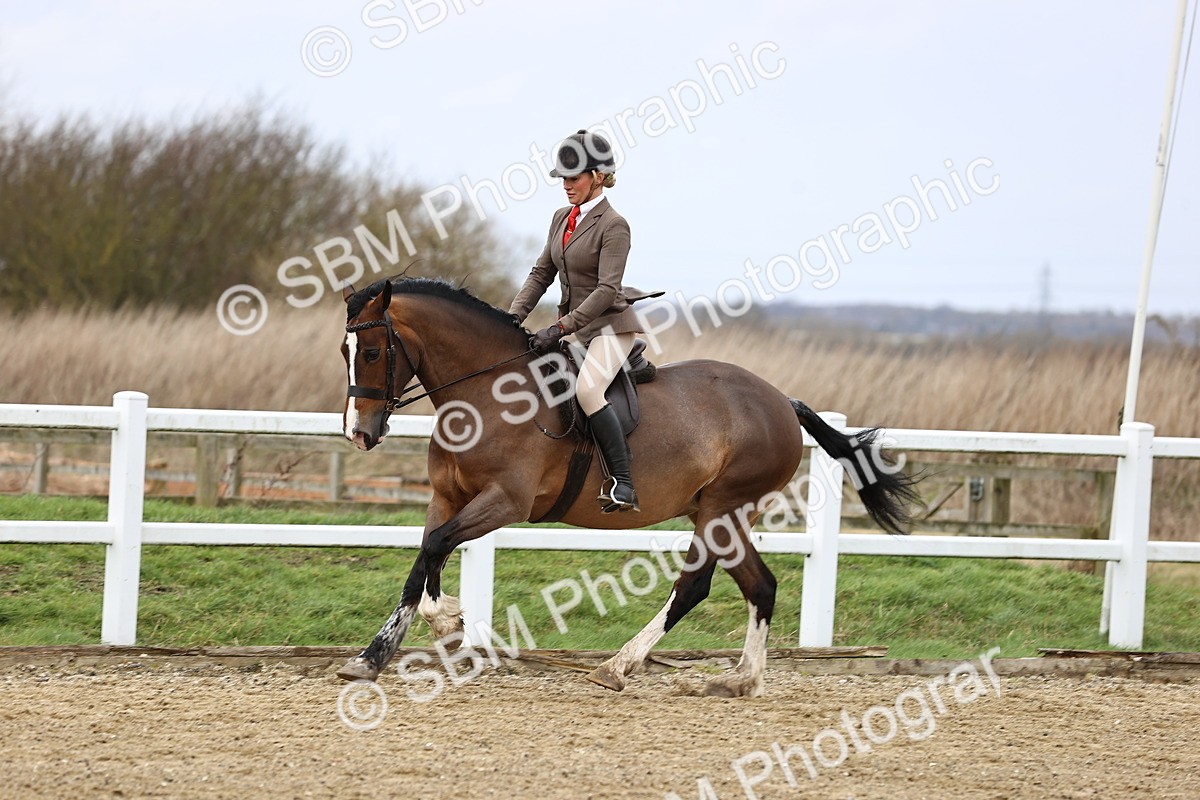 SBM_006949 - Class 29 - 30 - M&M Pure Novice Small-Large Breeds