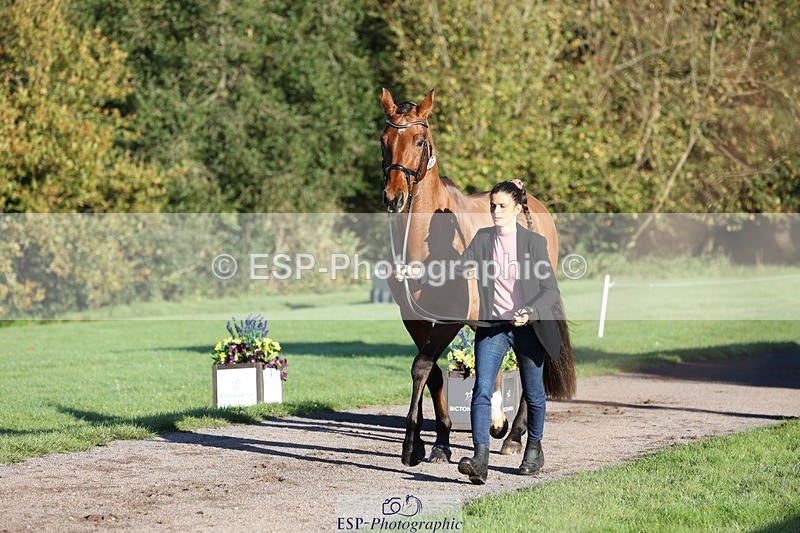 241027-085431-14884 - 301-Ilaria.Serra-DREAM.MACHINE