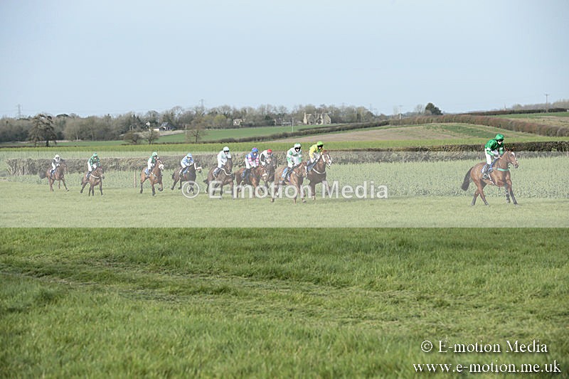 PtP 230319 456 - VWH Hunt Siddington Point-to-Point Racing 23/03/19