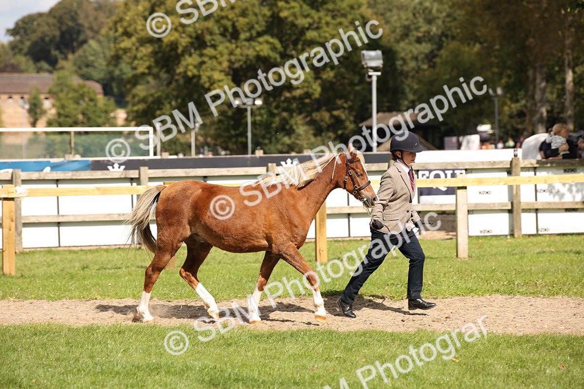 SBM_44407 - S24 - Young Veteran in hand