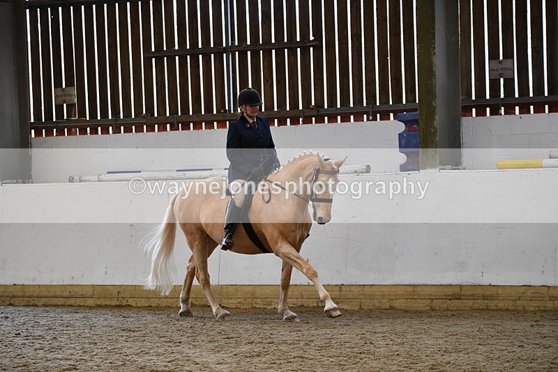 WJ5_6130 - Class 9 Ridden Veteran