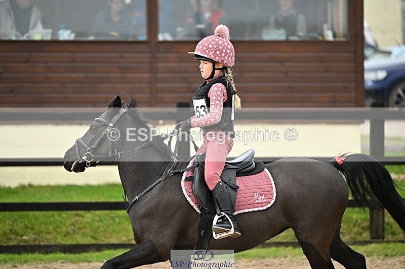 241110-121417-00637 - 50-55cm Arena Eventing