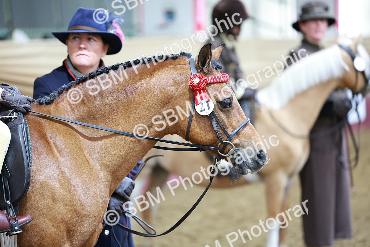SBM_10672 - Class 101 - Equitation (Best Rider)