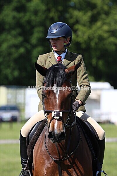 IMG_4363 - Working Hunter