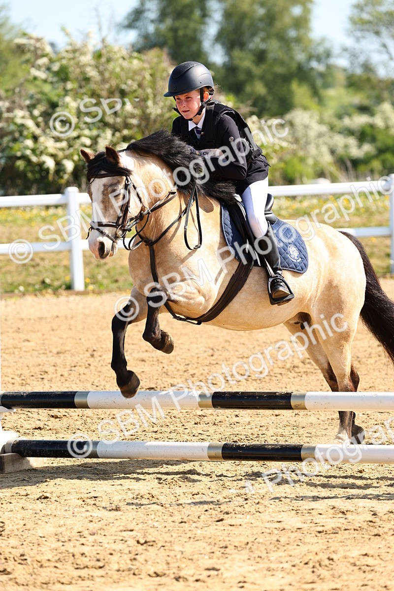 SBM_006736 - Class 2 - 50cm