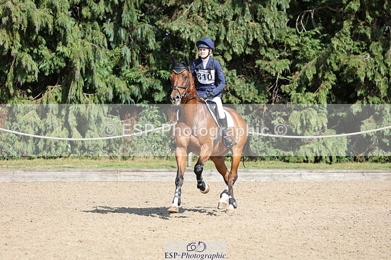 250803A-163308-17525 - R-810-Molly.Ashwin-GONTENDRO