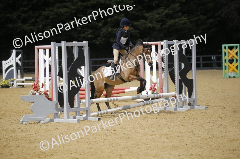 20250622-3958 - 50cm