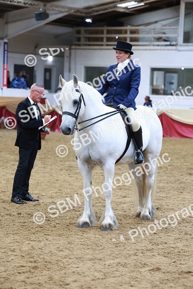 SBM_18637 - Class 952 - M&M Ridden Supreme Final