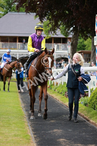 yr21052022r3-24 - Race 3: 3:30pm William Hill Best Odds Guaranteed Stakes