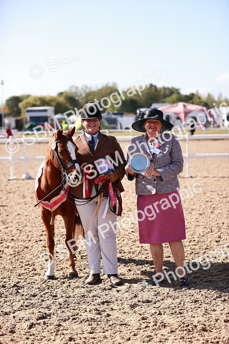 SBM_22730 - Class 704 - IH  Rescue