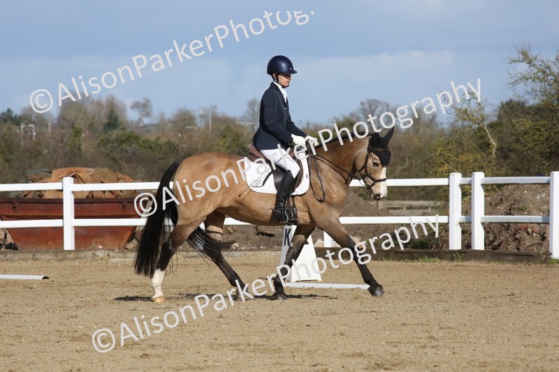 20260314-4260 - DR5 - Novice 1