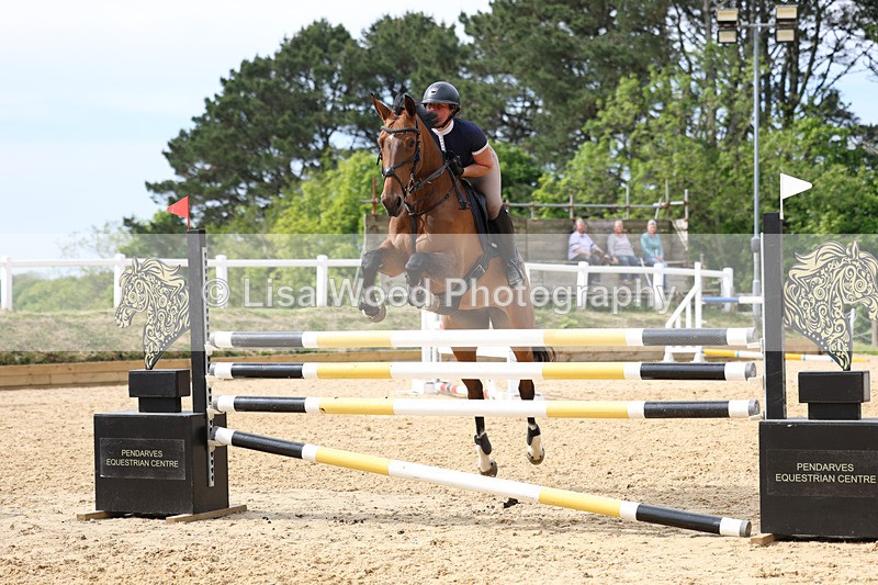 3E7A7717 - Class 8: Senior Foxhunter/1.20 open