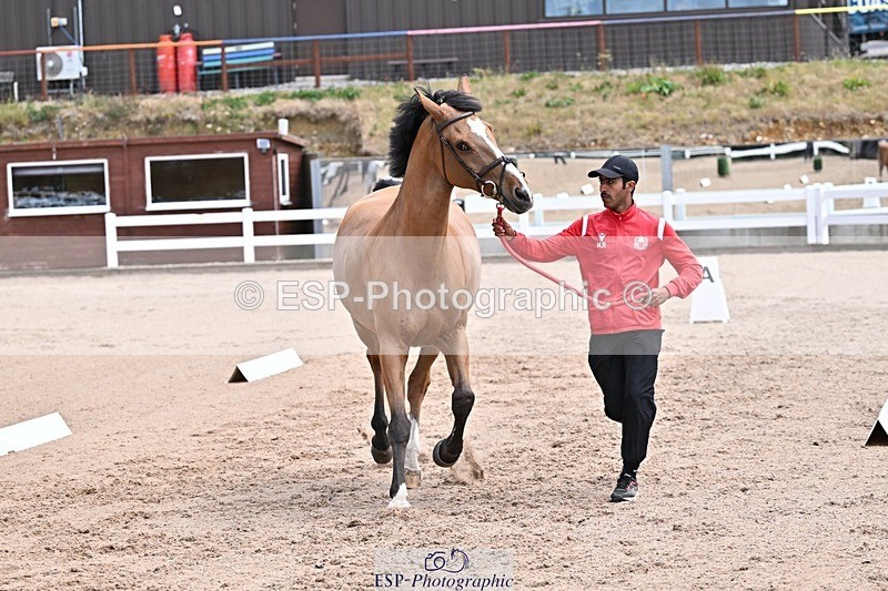 250716-130329-00294 - Trot Up 12.30 to 1.30