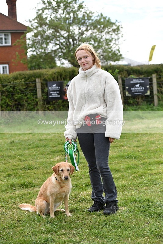 WJ5_9412 - Class 1 Best Cross Breed / Heniz 57