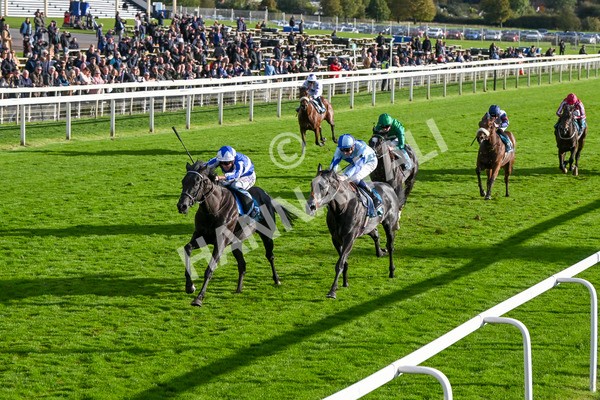 111024-Race 6-Fondo Blanco-2130 - Race 6 4.20pm William Hill EBF Novice Stakes