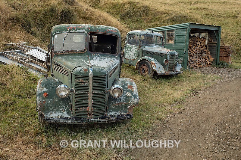 Old timers NZ - New Zealand