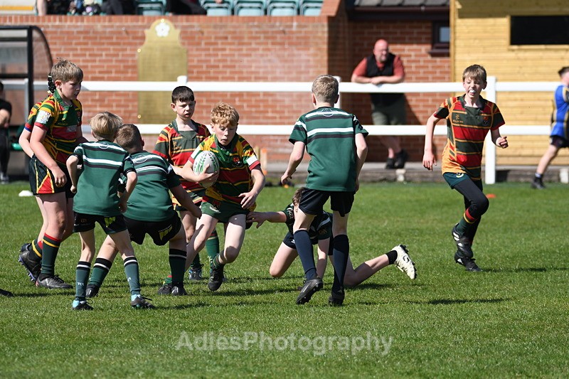  - Selby Rugby Festival 2025
