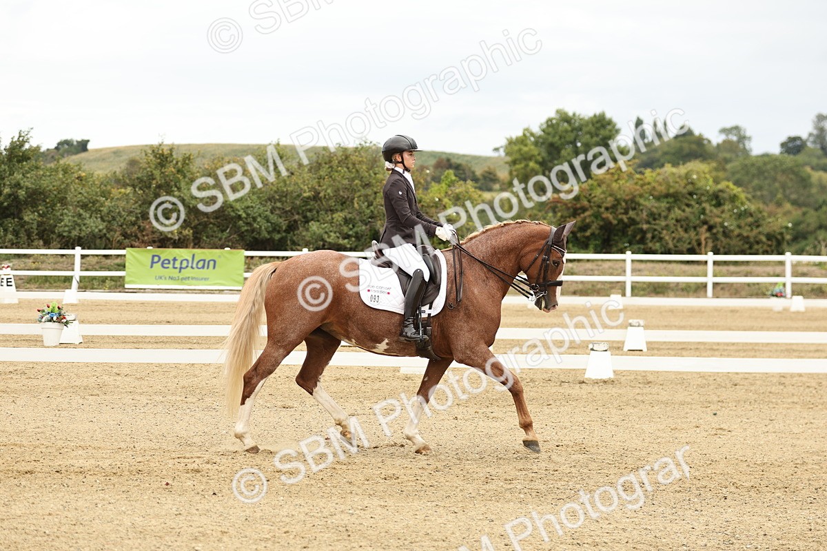 SBM_006531 - Class 21 - Medium 5 Bronze - 9.08-9.48