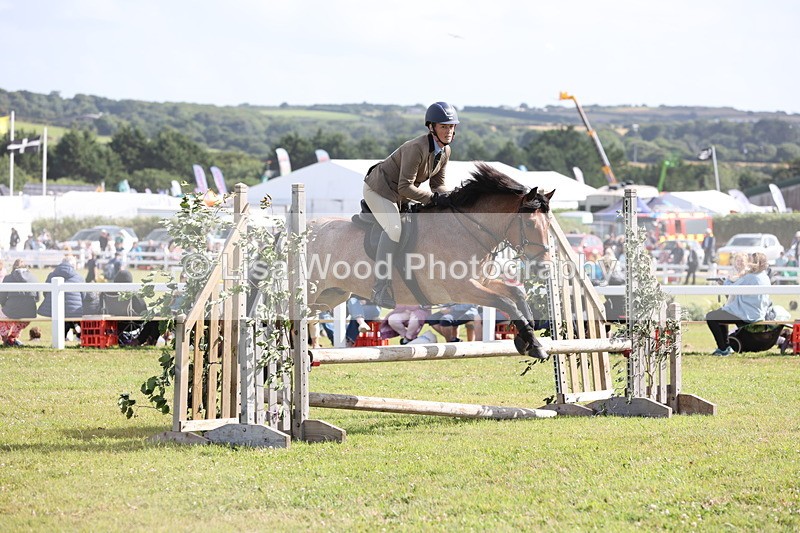 JPP_2655 - Class 20: Working Hunter 70cm