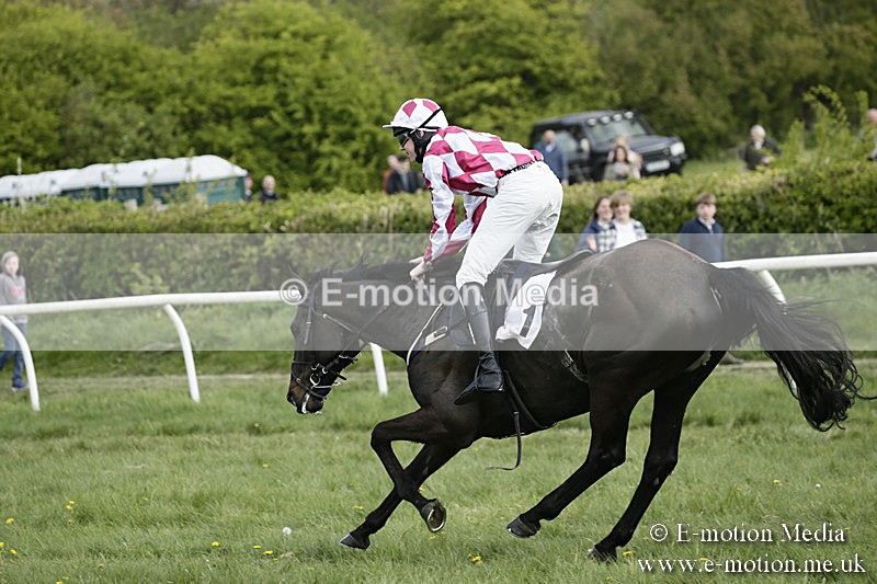 PtP 170417 382 - Old Berks Point-to-Point Lockinge 17/04/17
