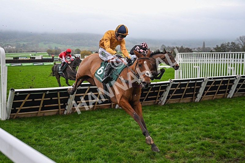 151125-Race 5-Kikijo-3978 - Race 5