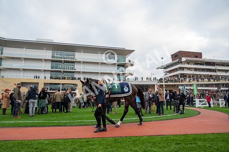 151124-Race 4-GVs-8530 - Race 4