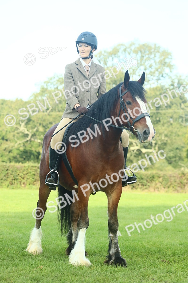 SBM_59854 - S38 - Starters Ridden Showing